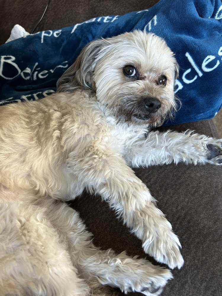 A E.'s profile image