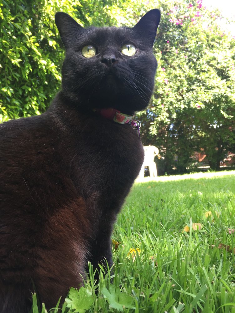 christy s.'s profile image