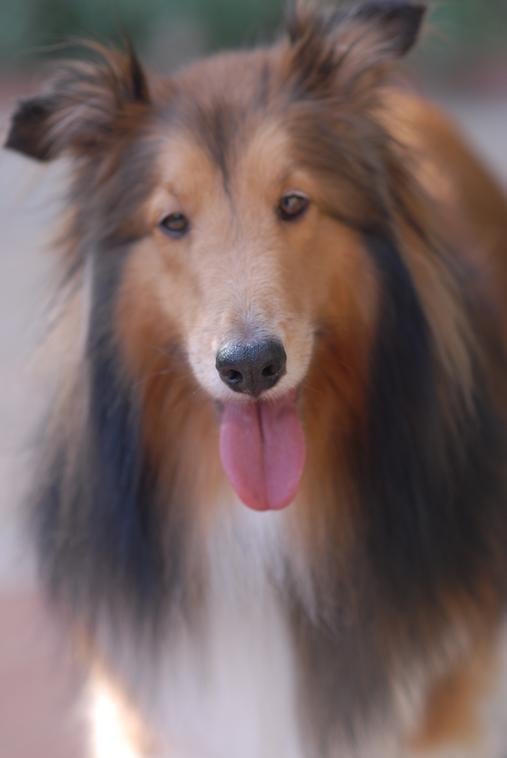 Harris B.'s profile image