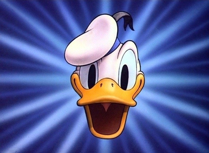 Daniel N.'s profile image