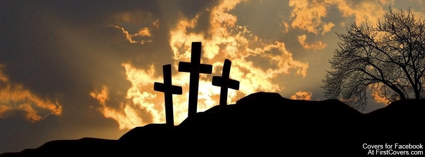 Psalms37.13 P.'s profile image