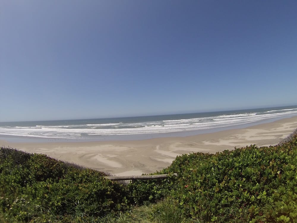 Kire Z.'s profile image