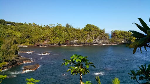 Lloyd A.'s profile image