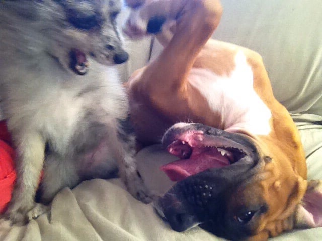 Ganya R.'s profile image