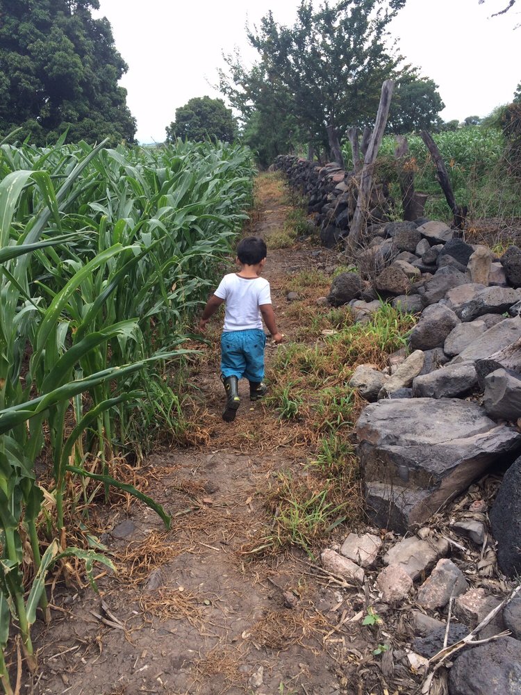 Maria A.'s profile image