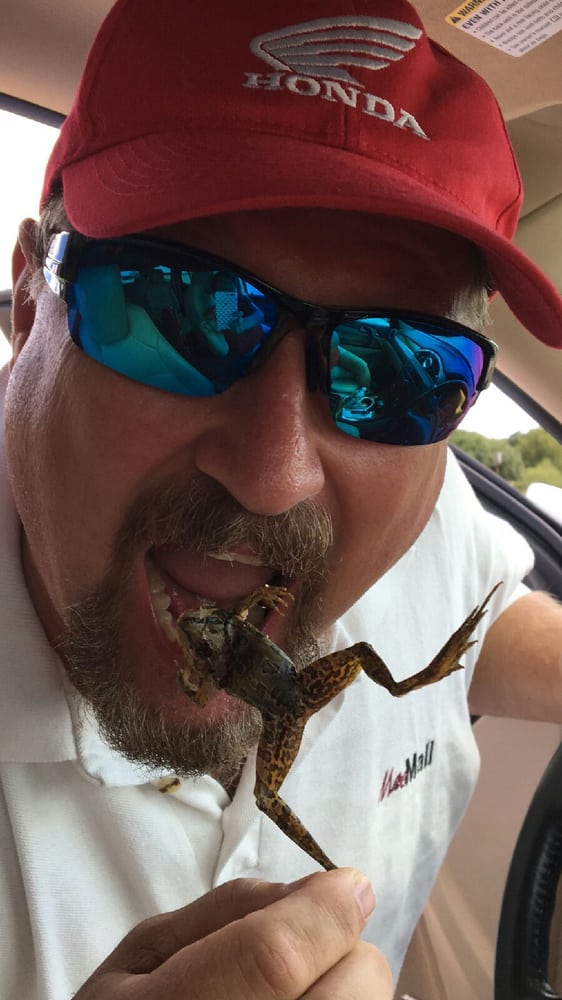 Daniel L.'s profile image