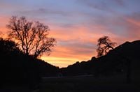 Mark M.'s profile image