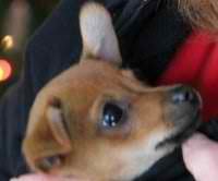 Joanne C.'s profile image