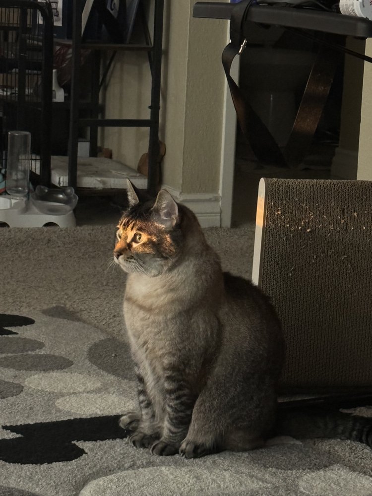 Alex O.'s profile image