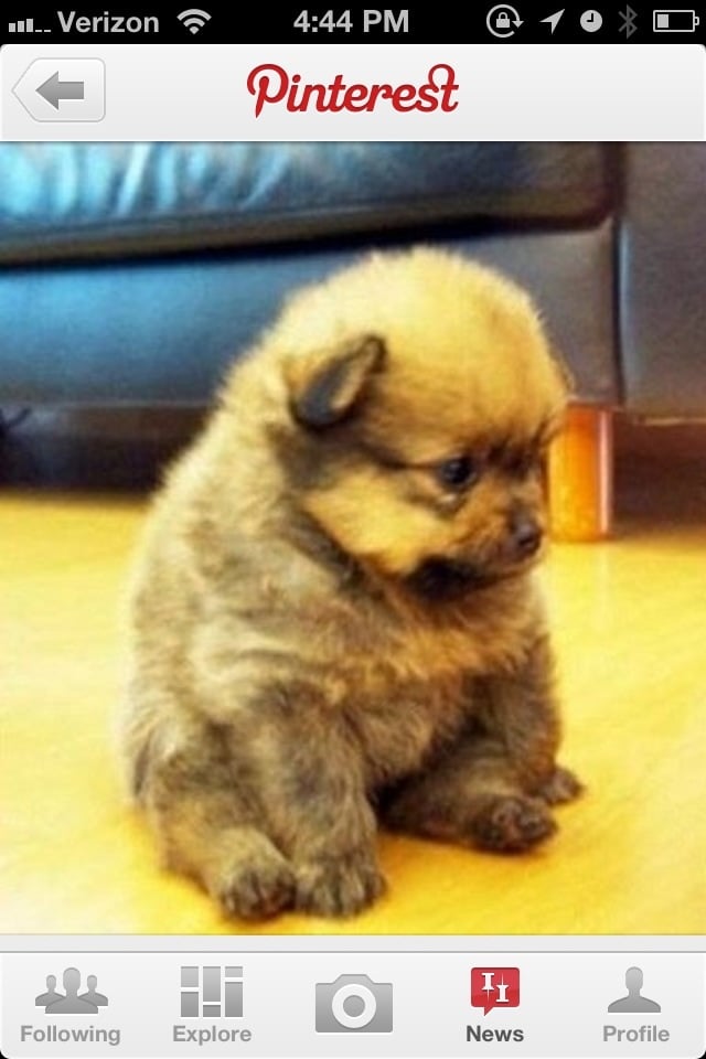 Yolanda S.'s profile image