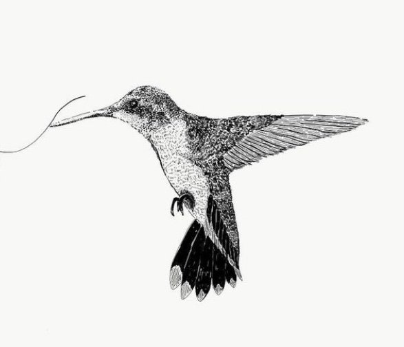 Jessica N.'s profile image