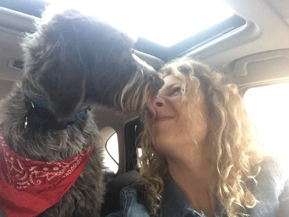 Robin M.'s profile image