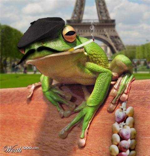 Ted G.'s profile image