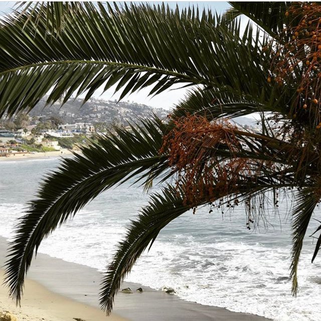 Stacy P.'s profile image