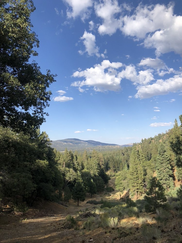 Elena S.'s profile image