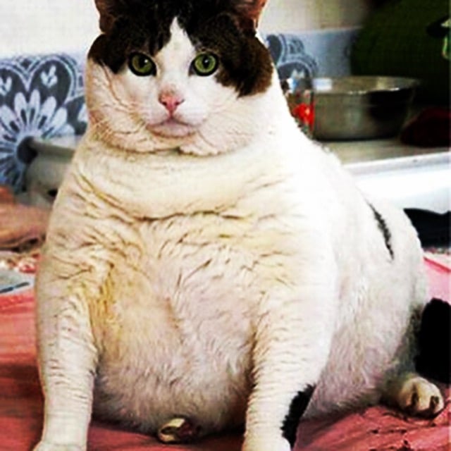 Ashley G.'s profile image