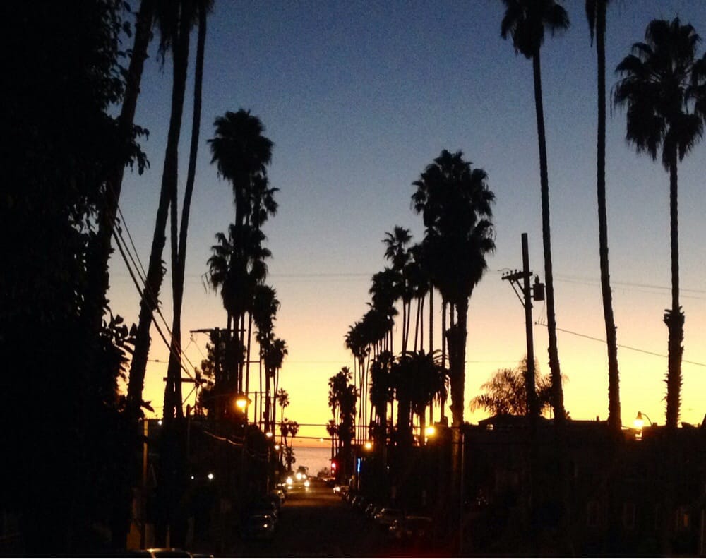 Jeannette D.'s profile image