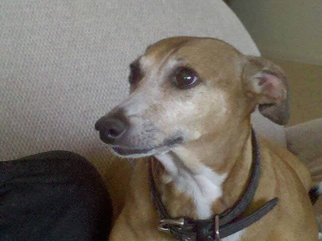 Phil M.'s profile image