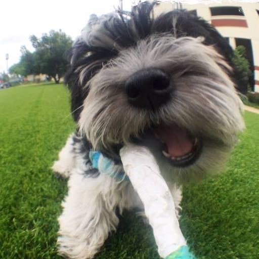 Gina O.'s profile image