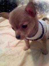 Loxx G.'s profile image