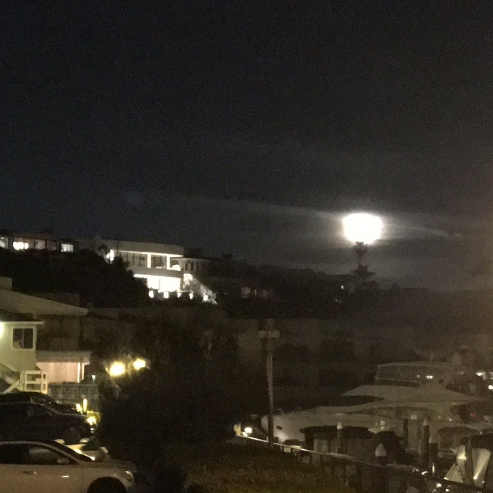 Noah C.'s profile image