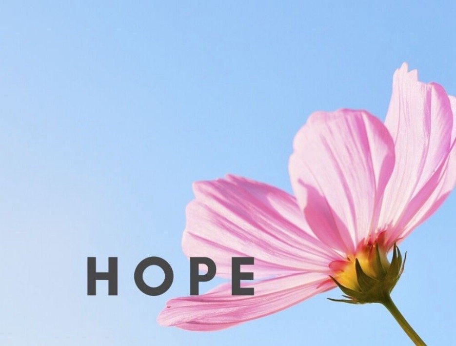 Liz C.'s profile image