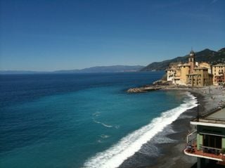 Sharon P.'s profile image