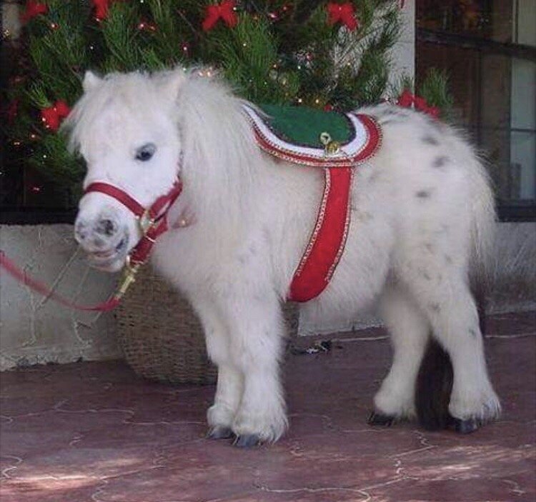 Katherine W.'s profile image