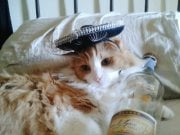 Bob S.'s profile image