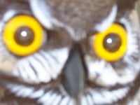 Bill S.'s profile image