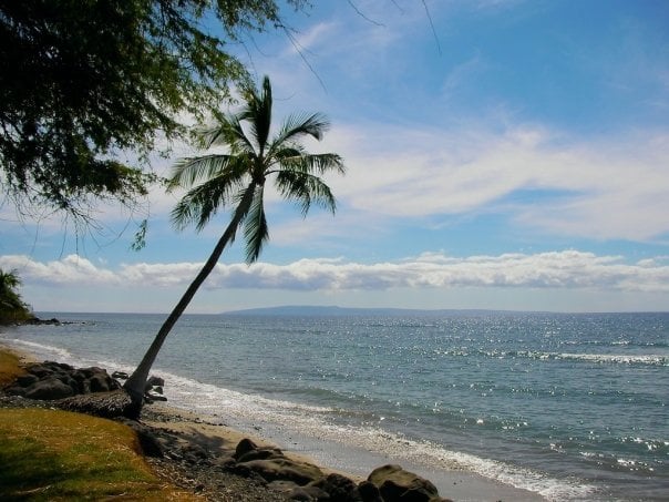 Anne P.'s profile image