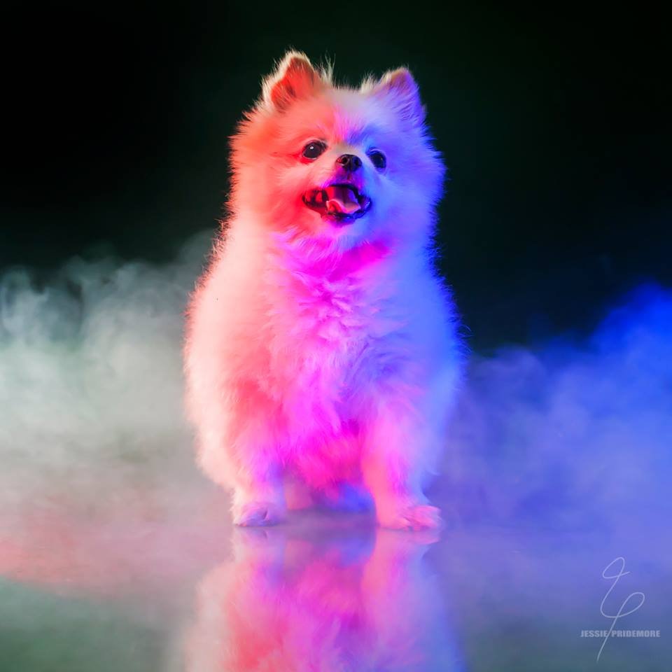 Avery S.'s profile image