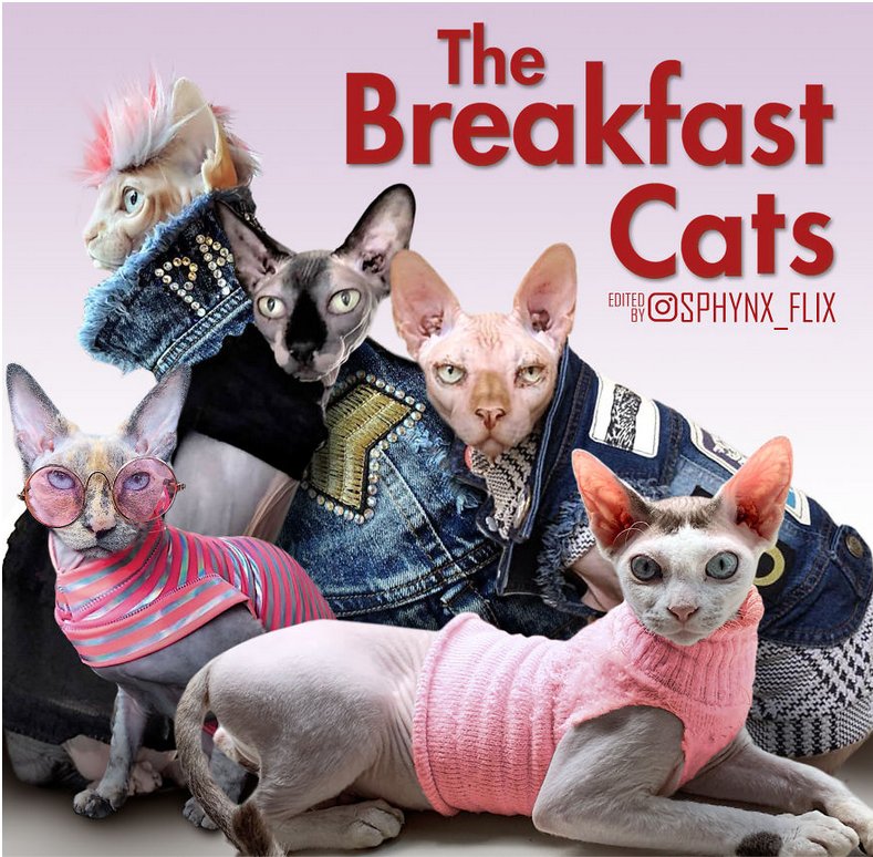 Sally F.'s profile image