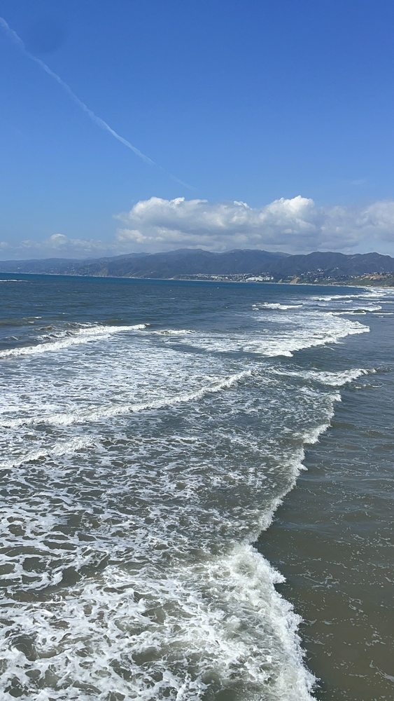 Raven C.'s profile image