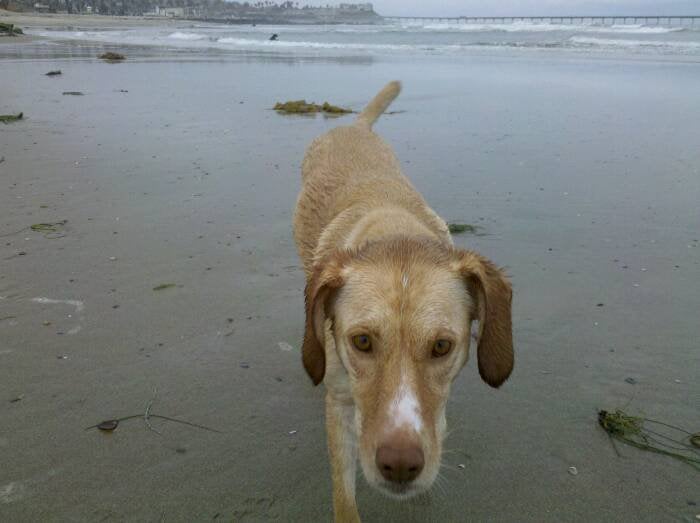 Heather M.'s profile image