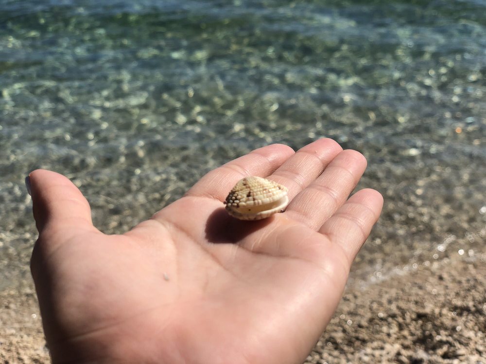 Elizabeth V.'s profile image