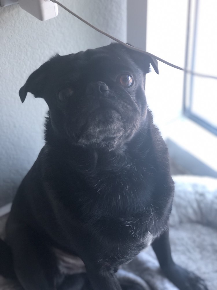 Marisa R.'s profile image