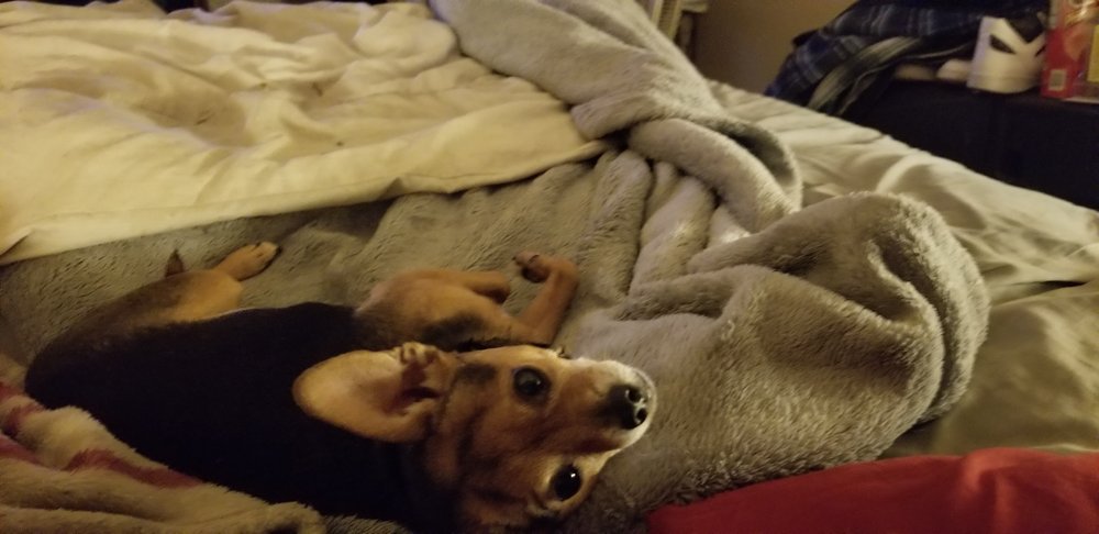 Becka H.'s profile image