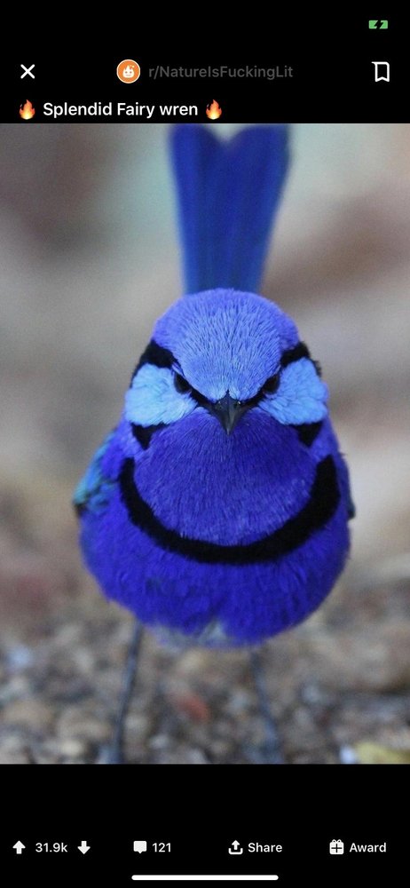 CC W.'s profile image