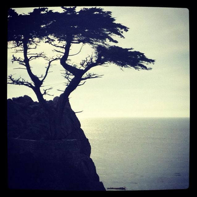 Zahra K.'s profile image