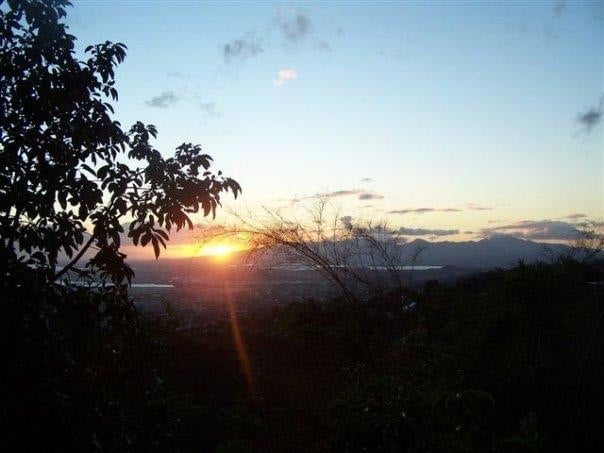 J F.'s profile image