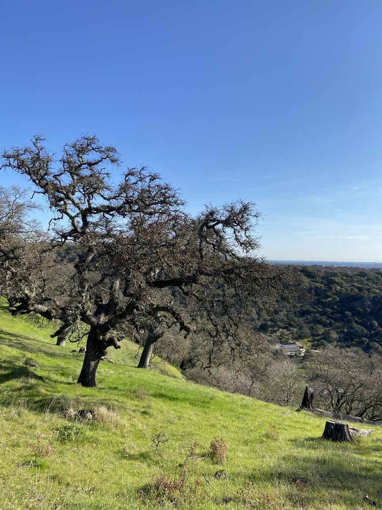 Noel D.'s profile image