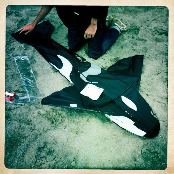 Ned R.'s profile image