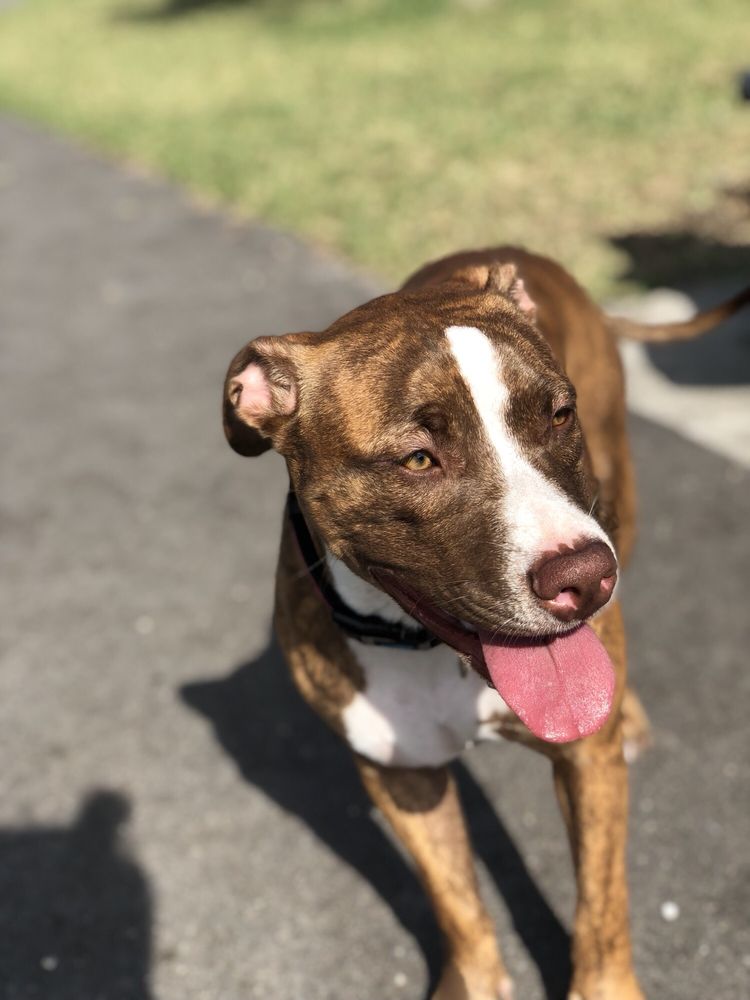 Stephanie S.'s profile image