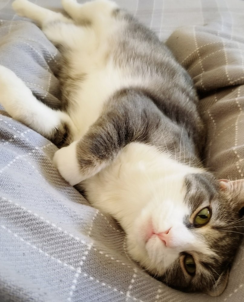 Roselle G.'s profile image