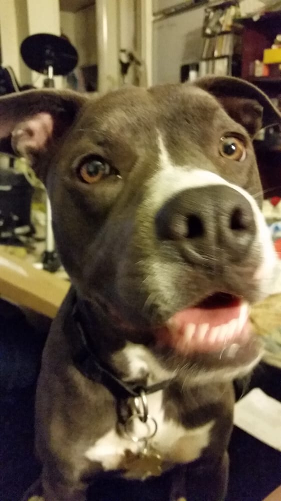 Sophie D.'s profile image