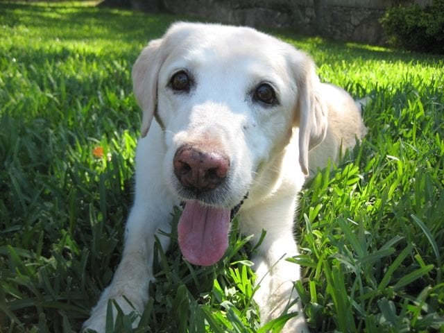 Song S.'s profile image