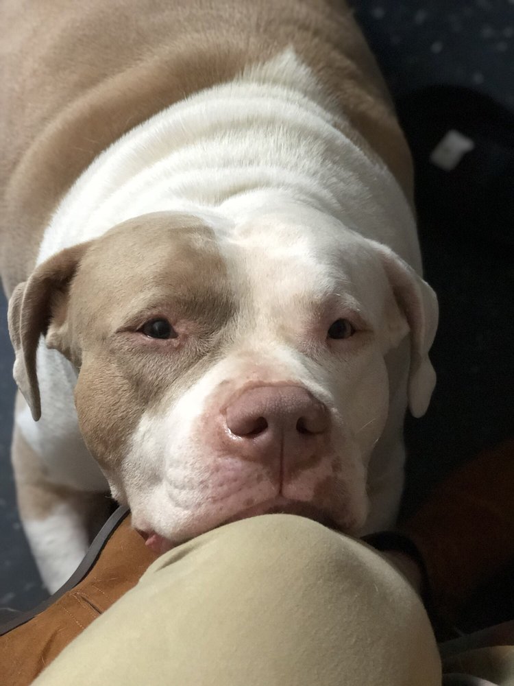 stephanie r.'s profile image