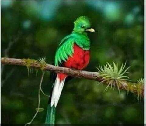 Majeed S.'s profile image