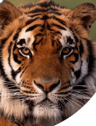 I. W.'s profile image